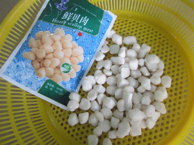 Frozen Scallop meat