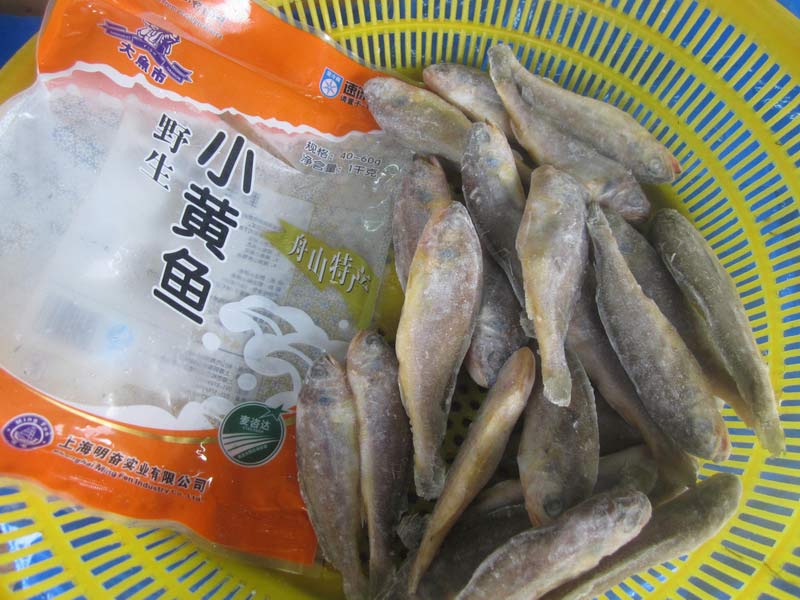 wild Small yellow croaker