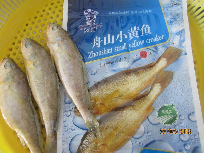 ZHOUSHAN YELLOW SMALL CROAKER