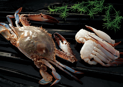 FROZEN SWIMMING CRAB