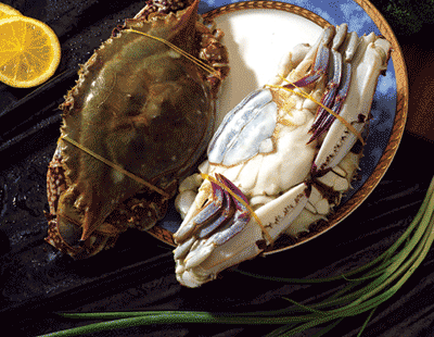 FROZEN CRAB