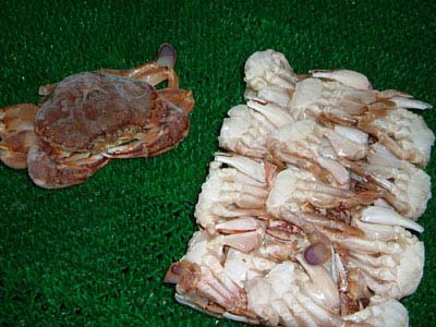 FLOWER CUT CRAB