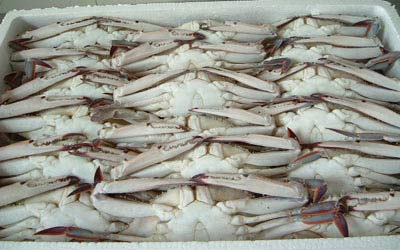 FROZEN SWMMING CRAB