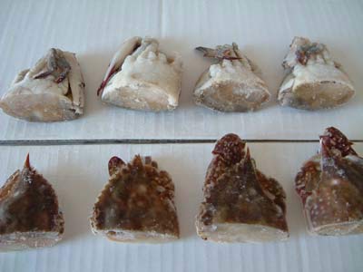 CUT CRAB