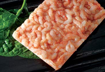 RED SHRIMP