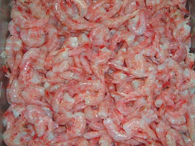 FROZEN HEADLESS RED MUSCLE SHRIM