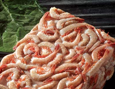HEADLESS SWORD SHRIMP