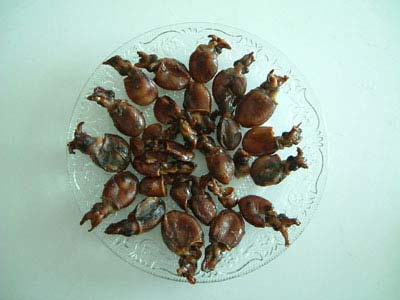 SMOKED SMALL CUTTLE FISH