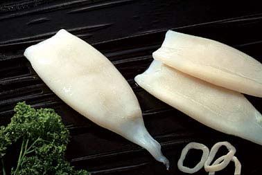 SQUID TUBE
