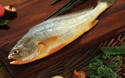Frozen Large Yellow Croaker