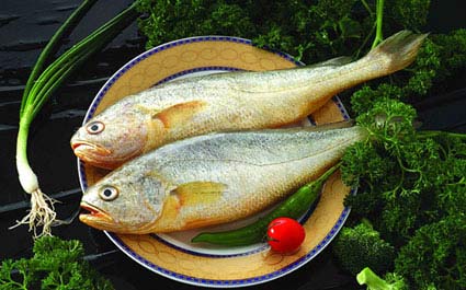 Frozen Yellow Croaker