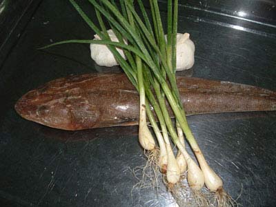 三肖魚