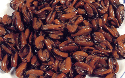 DRIED SEASONED MUSSEL